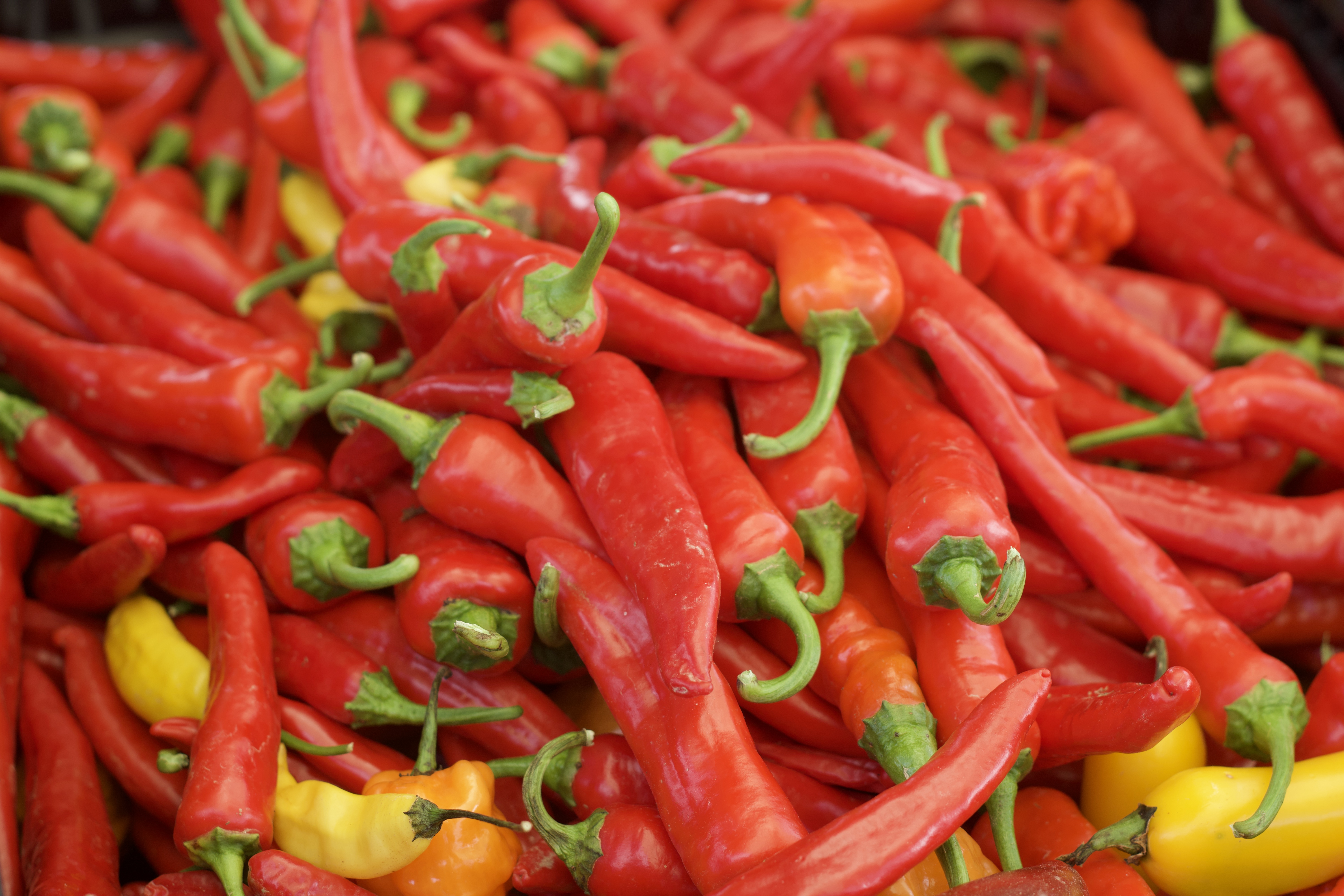 Captured by Kam portrait sample